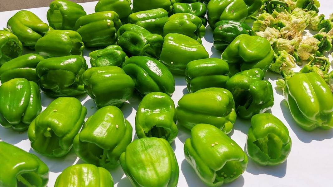 Biberleri taptaze tutuyor. Aylarca çürümüyor ve küflenmiyor - Resim: 10